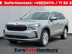 Stahlgrau/grau Neu 2025 Skoda Kodiaq Selection SUV | 43.580 € (Guter Preis)