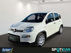 Cinema schwarz Gebraucht 2024 Fiat Panda Kleinwagen | 12.995 € (Fairer Preis)