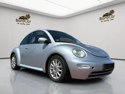 VW Beetle