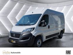 Weiss (pastell)) (weiss Neu 2024 Fiat Ducato Van | 29.950 € (Superpreis)