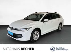 Weiss Gebraucht 2024 VW Golf VIII Life Kombi | 24.860 € (Fairer Preis)