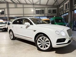 Weiß Gebraucht 2020 Bentley Bentayga SUV | 126.900 €