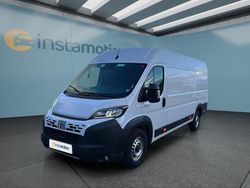 Weiß Gebraucht 2024 Fiat Ducato Van | 30.499 € (Superpreis)