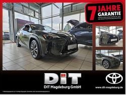 Norgrün Neu 2025 Lexus UX 300h Sport Design Packet SUV | 38.890 € (Fairer Preis)