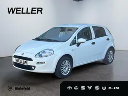 Weiss Gebraucht 2017 Fiat Punto Kleinwagen | 7.990 € (Fairer Preis)