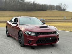 Rot Gebraucht 2019 Dodge Charger Limousine | 36.900 € (Superpreis)