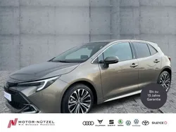 Braun Gebraucht 2023 Toyota Corolla Team Limousine | 23.460 € (Guter Preis)