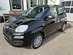 Schwarz Neu 2025 Fiat Panda Kleinwagen | 13.990 € (Fairer Preis)