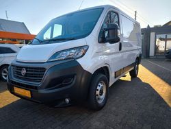 Weiß Gebraucht 2020 Fiat Ducato Van | 18.870 € (Fairer Preis)