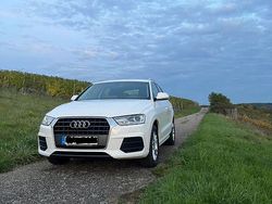 Weiß Gebraucht 2016 Audi Q3 Comfort SUV | 16.800 € (Etwas zu teuer)