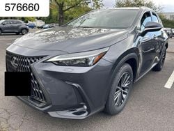 Grau Neu 2025 Lexus NX350h SUV | 49.950 € (Superpreis)
