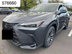 Grau Neu 2025 Lexus NX350h SUV | 49.950 € (Superpreis)