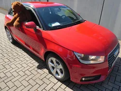 Rot Gebraucht 2017 Audi A1 Sport Kleinwagen | 11.511 € (Fairer Preis)