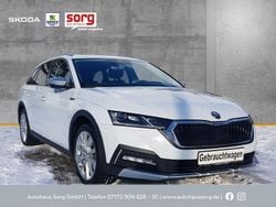 Weiss Gebraucht 2021 Skoda Octavia First Edition Kombi | 25.990 € (Fairer Preis)