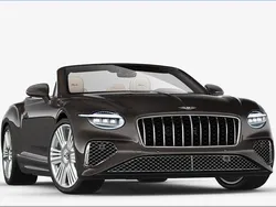 Braun Neu 2025 Bentley Continental Limousine | 361.724 € (Teuer)