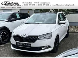 Weiss Gebraucht 2021 Skoda Fabia Best of Kleinwagen | 16.990 € (Fairer Preis)