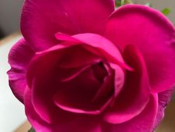 Silber Gebraucht 2006 Mercedes 220 Limousine | 5.490 € (Fairer Preis)