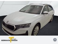 Weiß Gebraucht 2025 Skoda Octavia Essence Kombi | 24.980 € (Guter Preis)