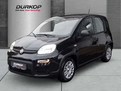 Cinema schwarz Neu 2024 Fiat Panda S Kleinwagen | 13.980 €