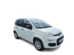 Gebraucht 2020 Fiat Panda Easy | 8.670 €