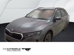 Graphitegrau metallic Gebraucht 2025 Skoda Octavia Tour Kombi | 33.990 € (Fairer Preis)