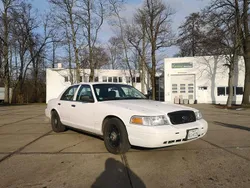 Weiß Gebraucht 2008 Ford Crown Victoria Limousine | 14.500 €
