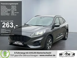 Magneticgrau (metallic) Gebraucht 2024 Ford Kuga ST-Line X SUV | 31.239 € (Superpreis)