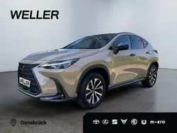 Beige Gebraucht 2024 Lexus NX350h E-FOUR SUV | 59.250 € (Fairer Preis)