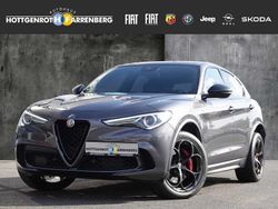 Grau Gebraucht 2020 Alfa Romeo Stelvio Quadrifoglio SUV | 46.990 € (Guter Preis)