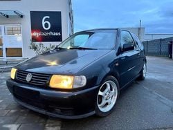 Gebraucht 1998 VW Polo Conceptline Limousine | 999 € (Guter Preis)