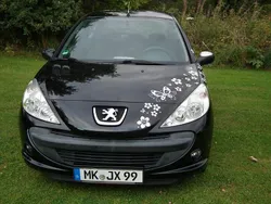Schwarz Gebraucht 2009 Peugeot 206 Kleinwagen | 1.780 € (Fairer Preis)