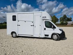 Weiß Gebraucht 2022 Fiat Ducato Van | 83.300 €