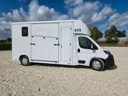 Weiß Gebraucht 2022 Fiat Ducato Van | 83.300 €