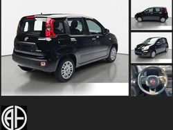 Nero cinema pastello Neu 2025 Fiat Panda Icon Kleinwagen | 14.990 € (Fairer Preis)