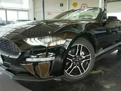 Schwarz Gebraucht 2019 Ford Mustang Cabrio | 31.655 € (Etwas zu teuer)