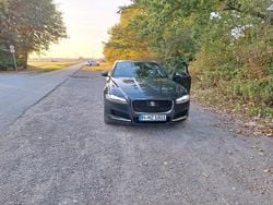 Grau Gebraucht 2019 Jaguar XF Prestige Limousine | 15.000 € (Superpreis)