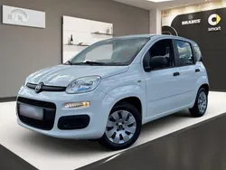 Weiß Gebraucht 2015 Fiat Panda Kleinwagen | 6.488 € (Teuer)