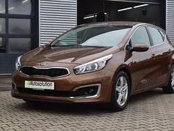 Braun Gebraucht 2016 Kia Ceed Vision Limousine | 8.590 € (Fairer Preis)