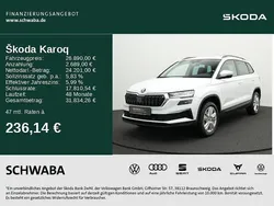 Weiß Gebraucht 2024 Skoda Karoq Selection SUV | 26.890 € (Guter Preis)