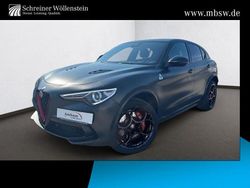 Grau grau Gebraucht 2022 Alfa Romeo Stelvio Quadrifoglio SUV | 59.780 € (Teuer)