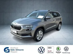 Grau Gebraucht 2024 Skoda Karoq Selection SUV | 29.450 € (Superpreis)