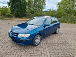 Blau Gebraucht 2002 Nissan Almera Comfort Limousine | 1.999 € (Etwas zu teuer)