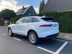 Weiß Gebraucht 2017 Jaguar F-Pace Pure SUV | 15.200 €