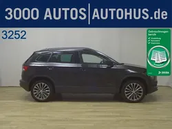 Grau Gebraucht 2020 Skoda Karoq Drive SUV | 19.870 € (Guter Preis)