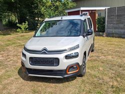 Beige Gebraucht 2019 Citroën Berlingo Shine Van / Kleinbus | 19.999 € (Fairer Preis)