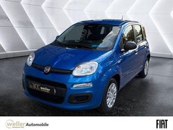Blau Neu 2025 Fiat Panda Kleinwagen | 14.975 € (Fairer Preis)