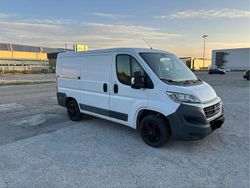 Weiß Gebraucht 2016 Fiat Ducato Van | 10.990 € (Guter Preis)