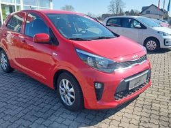 Rot Gebraucht 2021 Kia Picanto DREAM-TEAM Edition Kleinwagen | 12.600 € (Etwas zu teuer)