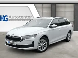 Weiß Neu 2025 Skoda Octavia Kombi | 32.989 € (Guter Preis)