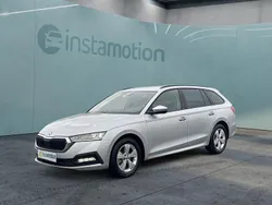 Gebraucht 2023 Skoda Octavia Kombi | 22.849 € (Superpreis)